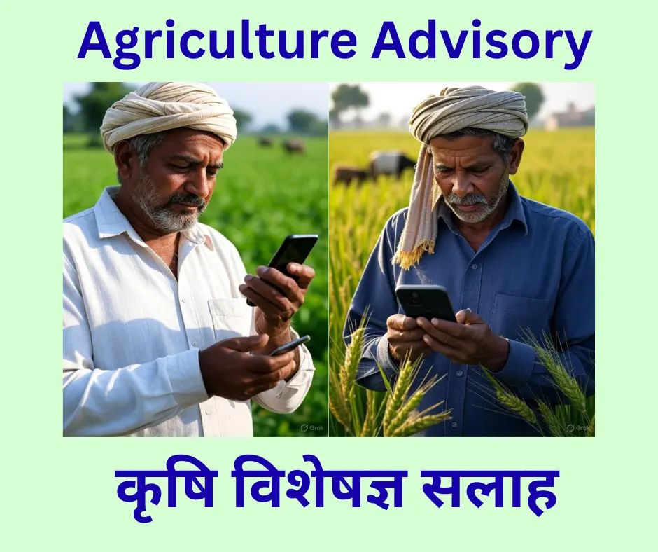 two farmers wearing turbans, standing in green fields, using smartphones with india weather update text in english and hindi about agriculture advisory.